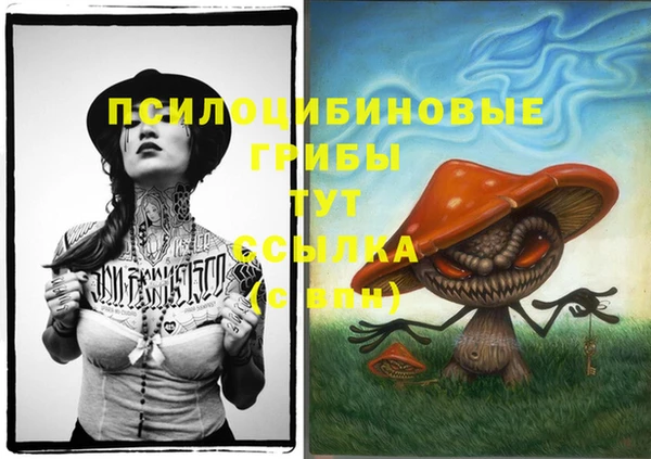 альфа пвп Каменск-Шахтинский