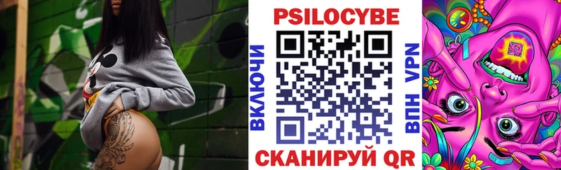 Галлюциногенные грибы Psilocybe  Купить где  Бирск 